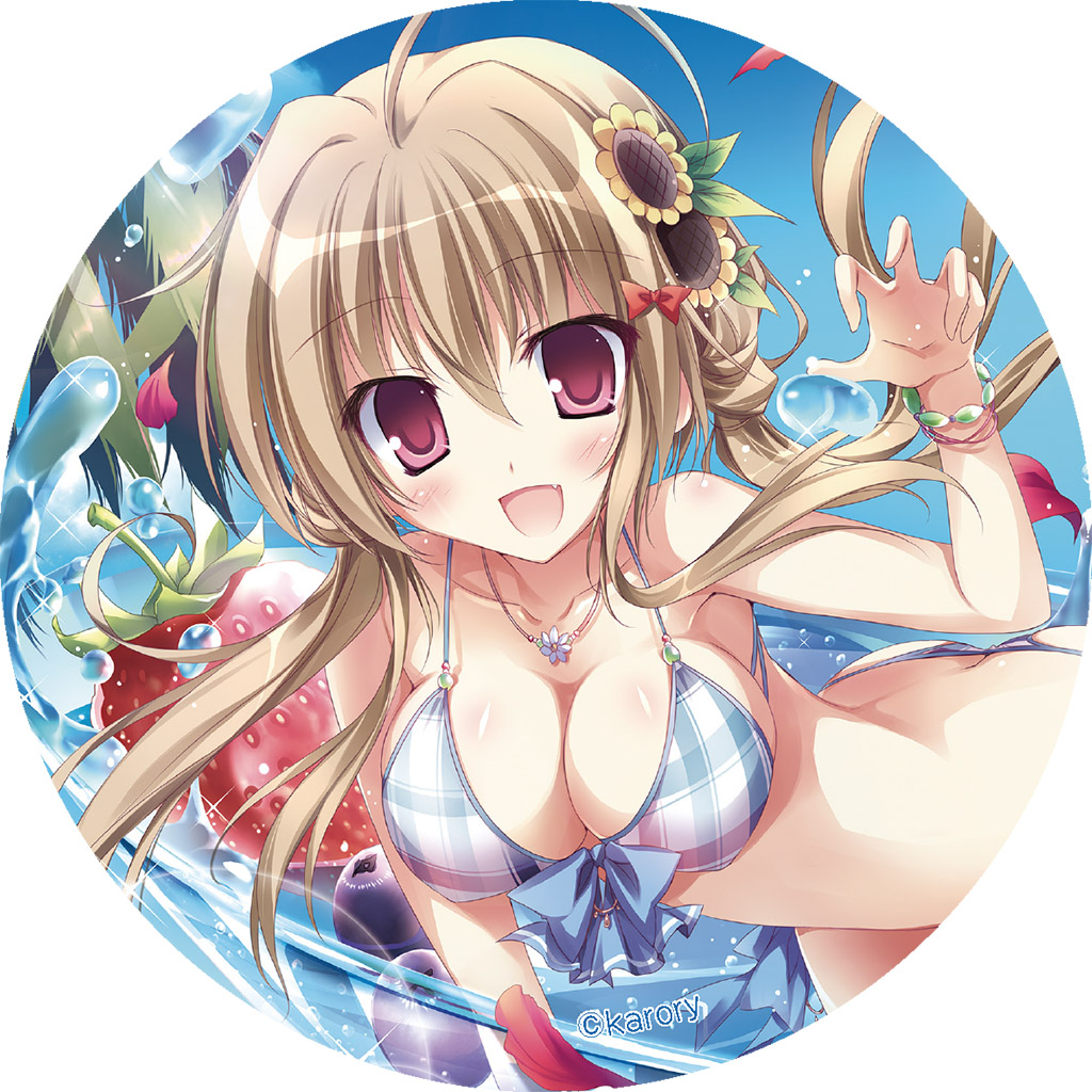 100mm_karory_image