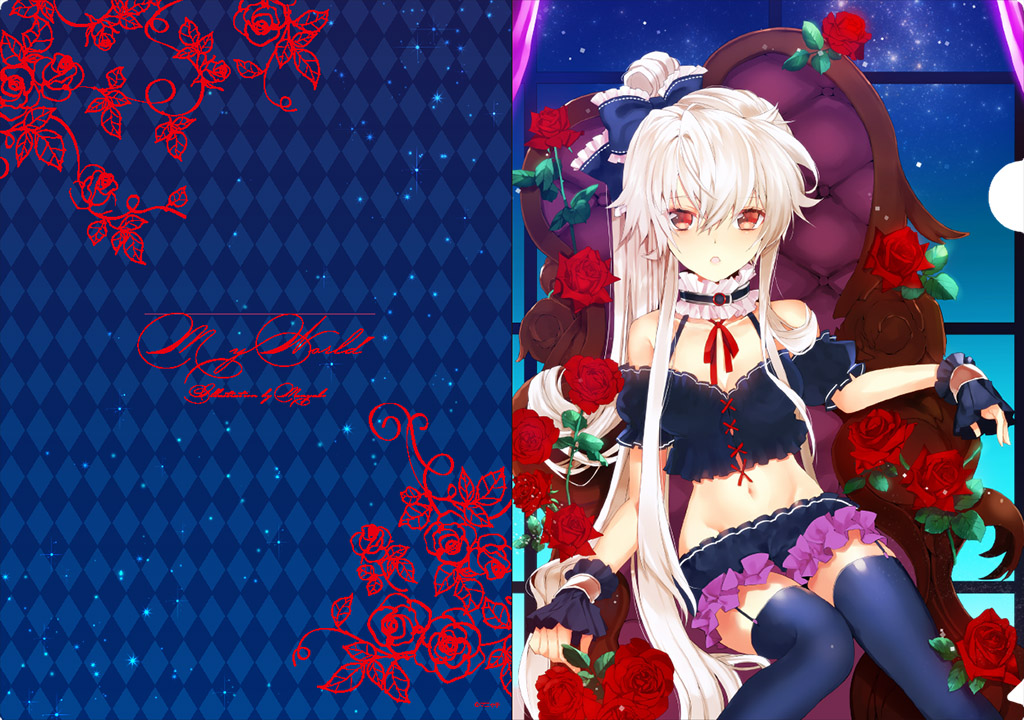 ClearFile_6U_4c