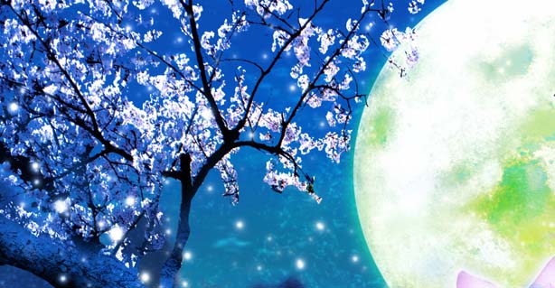 燈華3